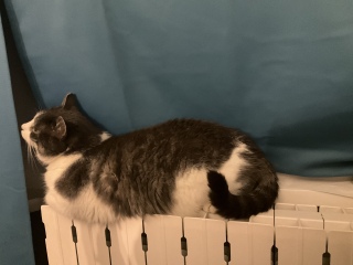 �O�͉J�₩���