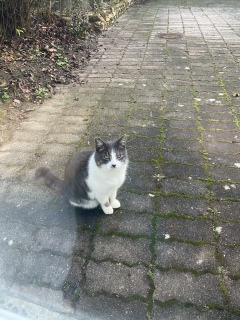 1��9��(��) �����͍T���߂Ȑ��ŏo��