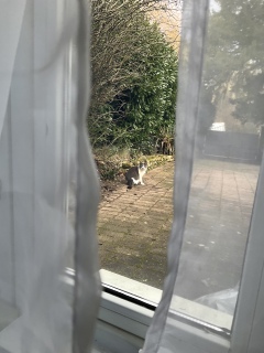 �U���̔L���@��