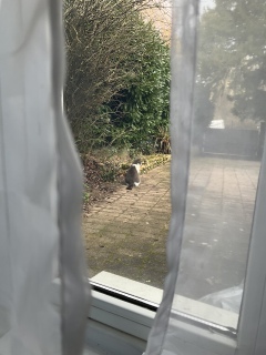 �U���̔L���@��