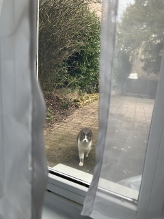 �U���̔L���@�O