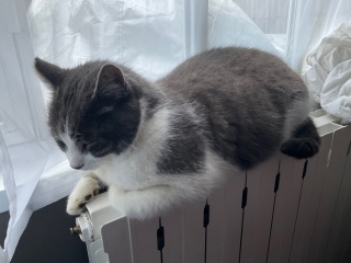 �~��������