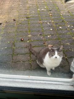 1��10��(��) ������10���o��