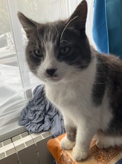 �ˁ[���͂������͂�