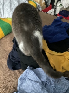 ���݂��݂��n�܂�܂���