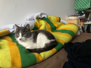 ���݂���6��