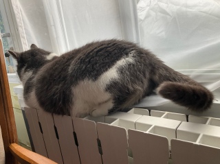 �������炨���