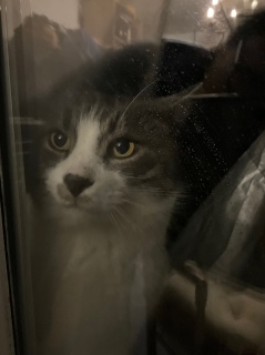 ��΂ɗ�����