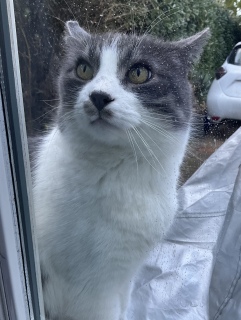 1��11��(��) �т����肨��