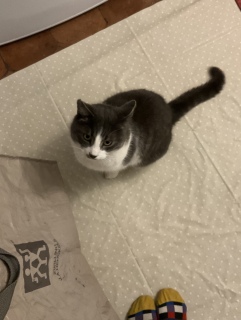 1��12��(��) ��7���̏o��