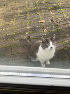 1��13��(��) �����̏o��