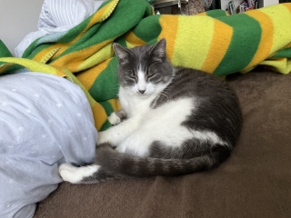 ���傤�ǂ����ꏊ