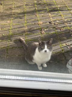 �����͓V�C���ǂ��Ė��邢