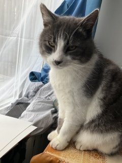 �܂�����