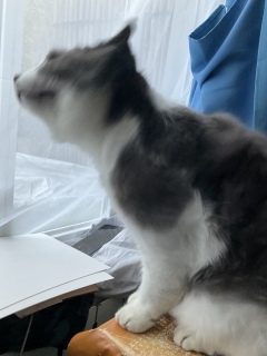 �ˁ[���͂����