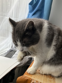 �������