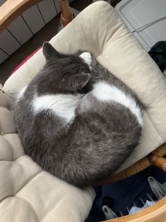 �֎q������