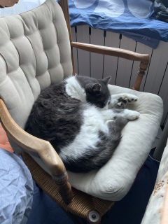 �ǂ��������R�ɂ��g�����������܂�