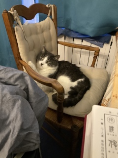 �ڂ��o�߂�