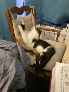 �قǂ��܂���