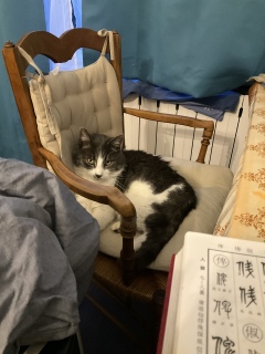 �����������悤�ł�