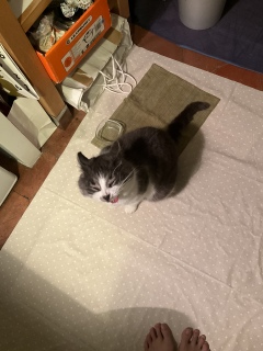 1��14��(�y) ���̔L���