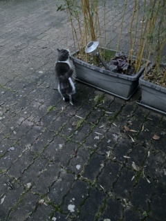 ������ɗ��Ă��ꂽ