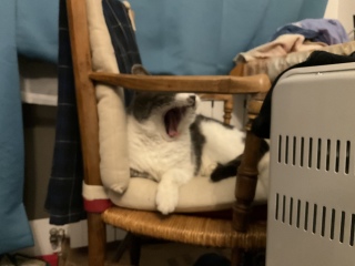 �����т����