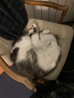 ������Ă�������