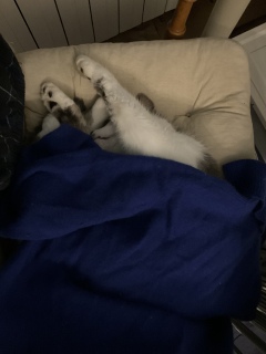 �������낢��