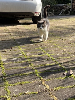 1��15��(��) �ف[��@���̎q���삯�Ă����