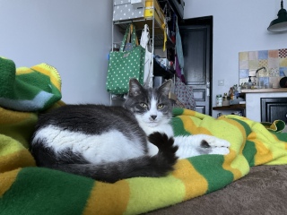 �ˁ[�������Q����������