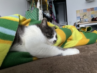 �Q�ꏊ�����