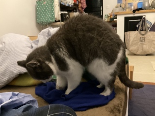 �܂�2���Ԕ���