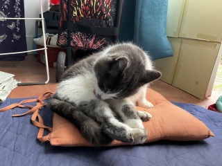 1��16��(��) �����͉J