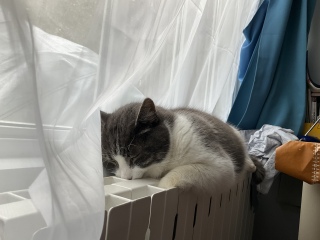 �����������ˁ[