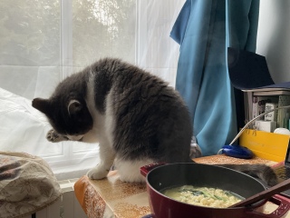 �ˁ[���͂������͂�