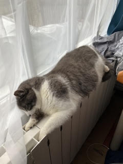 �ˁ[���͏\����ɏo��