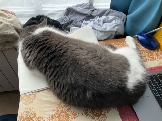 �ˁ[���͂���{�����I����