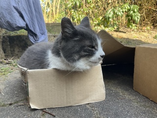 납炻[Ƃ