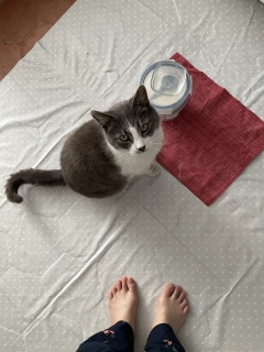 52() Ⴂ