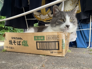 今日は暑いね
