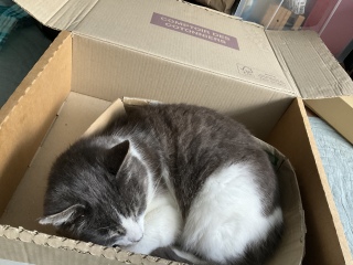 ˁ[Q̂