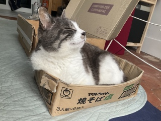 30炢[Q