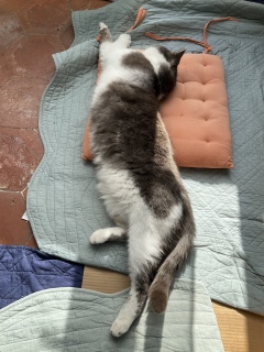 LєL