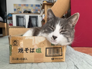 かわいいねえ