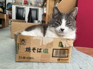 2Oɂ