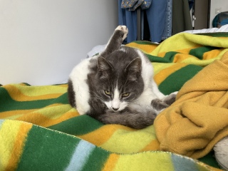xbhŒQ