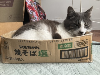 ӂꂠ̂Ƃ