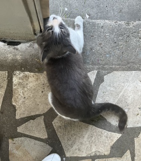 ˁ[̋A肪ꂵ炵@O